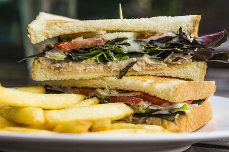 Tuna sandwich served with french fried and vegetableの写真素材