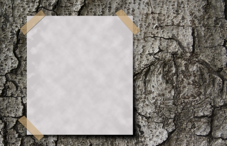 Gray paper on old wood textureの写真素材