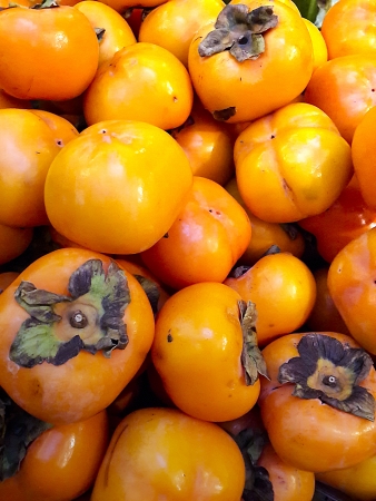 Background of fresh persimmon in the marketの写真素材