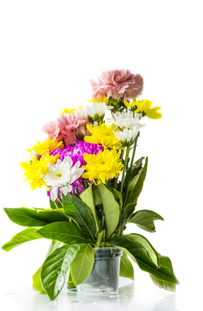Carnation flowers and marigold , isolated on white backgroundの写真素材