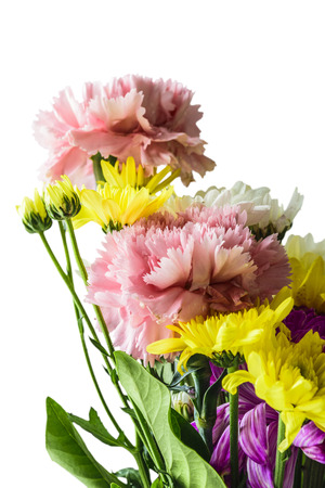 Carnation flowers and marigold , isolated on white backgroundの写真素材