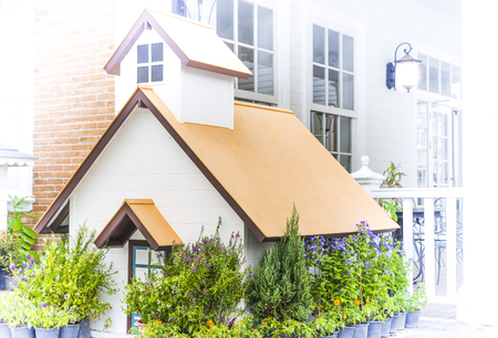 Small wooden house in  countrysideの写真素材