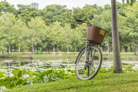 Bicycle in the park : Concept for relaxation and exerciseの写真素材
