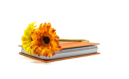 Artificial flower and notebook  , Isolated on white backgroundの写真素材