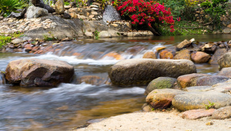 Landscape with a mountain stream in a summer day