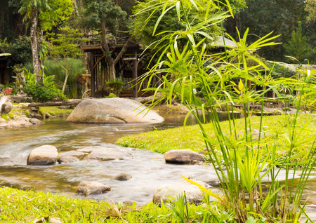 The fall forest with a slow moving stream.の写真素材