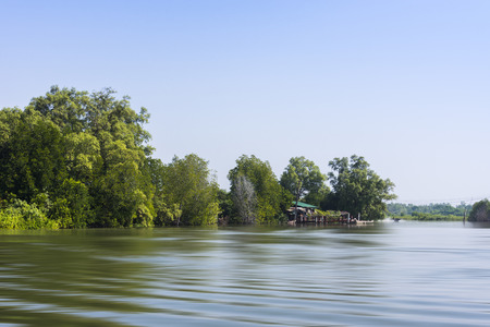 Beautiful view of fish agriculture in estuary, Thailandの写真素材