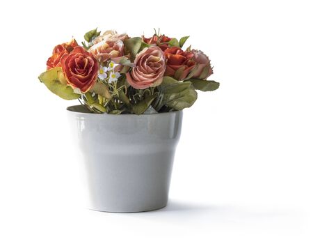 Artificial rose flower , isolated on white backgroundの写真素材