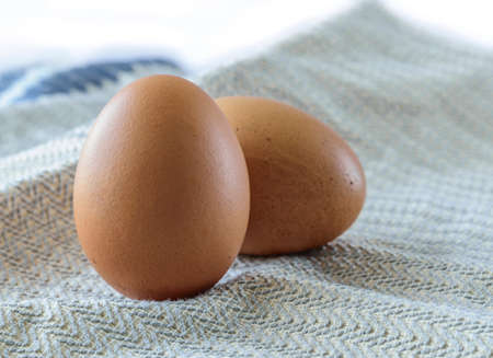 two eggs on tablecloth , using selective focusの写真素材