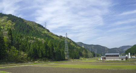 Hillside of mountain range with coniferous forest and paddy fieldの写真素材