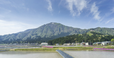 Hillside of mountain range with coniferous forest and paddy fieldの写真素材