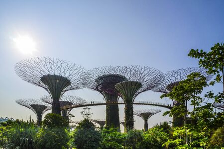 Garden by the bay : Singaporeのeditorial素材