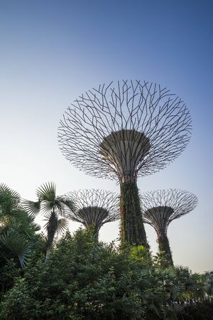 Garden by the bay : Singaporeのeditorial素材