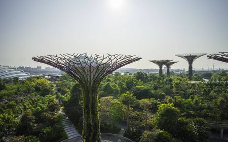 Garden by the bay : Singaporeのeditorial素材