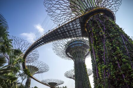 Garden by the bay : Singaporeのeditorial素材