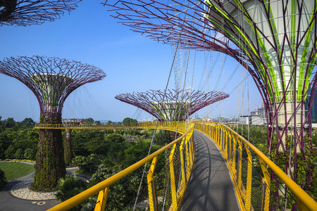 Garden by the bay : Singaporeのeditorial素材