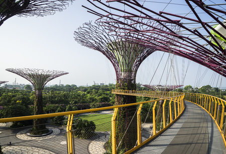 Garden by the bay : Singaporeのeditorial素材