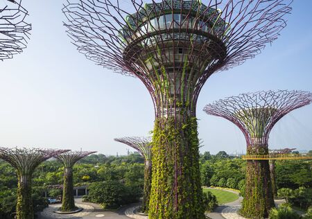 Garden by the bay : Singaporeのeditorial素材