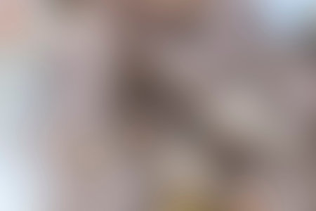 Abstract blurred background for webdesign, colorful background, blurred, wallpaper