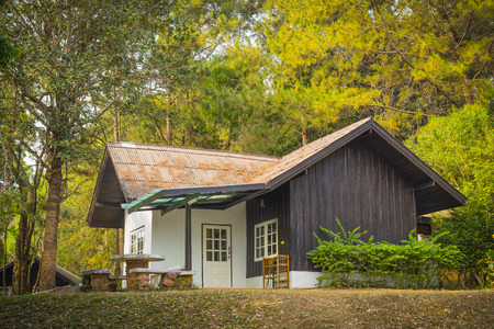 Modern Log Cabin Home in a Forest Environmentのeditorial素材