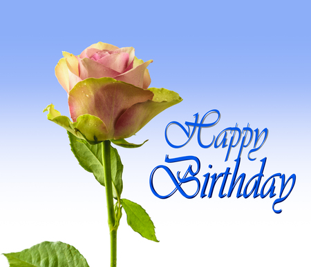 Happy birthday card with Rose isolatedの写真素材