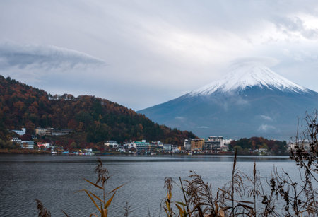 Mt.Fuji in the morning at Lake Kawaguchi - Japan