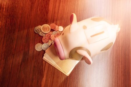 Top view of Pink piggy bank with coinsの写真素材