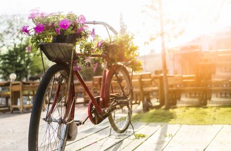 Retro bicycle decoration with flowers in the park with sunrays backgroundの写真素材