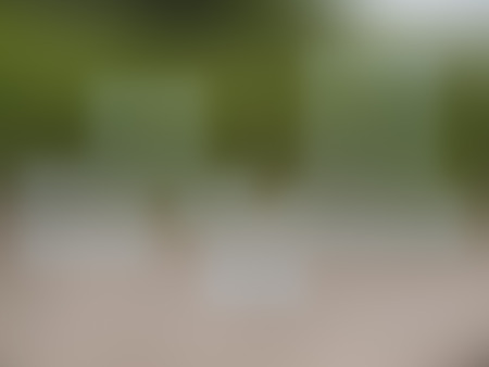 Abstract Background of blurred colorful lightの写真素材