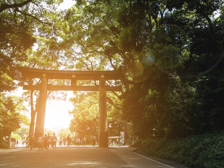People walking in the park at the morningの写真素材