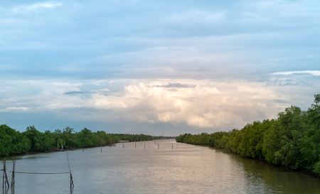 River between mangrove Forest in southern of Thailand with cloudy skyの写真素材