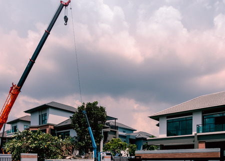 Lifting big tree by hydraulic Forklift for gardening in modern and luxury villageの写真素材