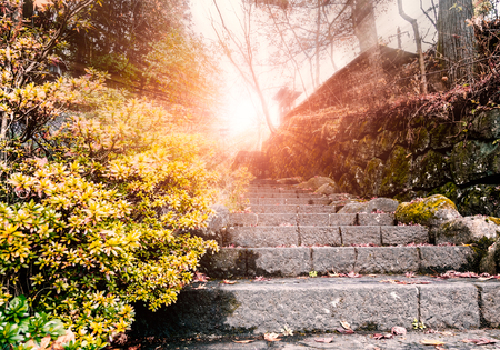 Stone staircase leading up a walkway through the Japanese temple in the morningの写真素材