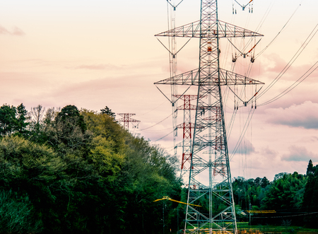 High voltage tower transmission Through the forestの写真素材