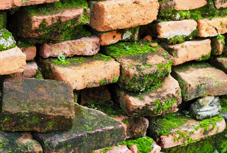 Greenery Brick in Aytthayaの写真素材