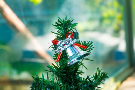 Bells on Christmas treesの写真素材