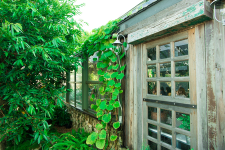 Wood in the gardenの写真素材