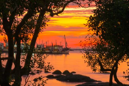 Backlit photos Sifting through trees and rocks In Sunsetの写真素材