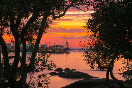 Backlit photos Sifting through trees and rocks In Sunsetの写真素材