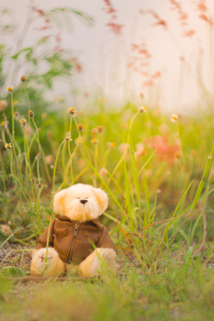 Euphoria Teddy bear sits on a barrier in the road in the sunset light .の写真素材