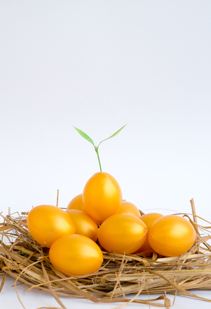 Trees grow from the golden Easter eggs on the nest .With the idea  cONCEPT that The birth of Godの写真素材