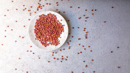 Dog food scattered disrupted The drop in full-floorの写真素材