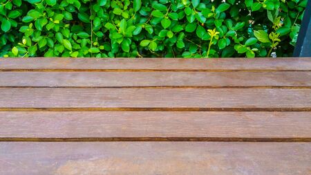 Wooden board on a Green leaf background .の写真素材