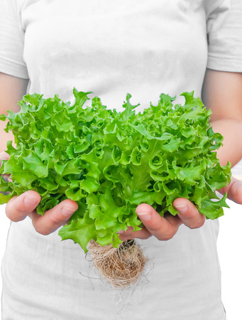 Hand holding vegetables isolated On a white backgroundの写真素材