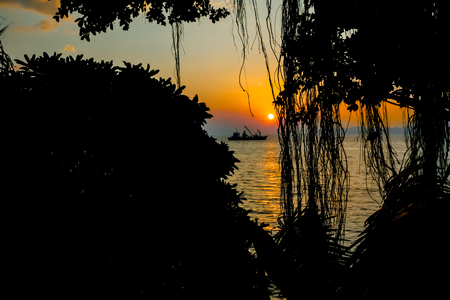 Silhouette sea ââView , Twilight time , Looking through the trees At the time of sunsetの写真素材