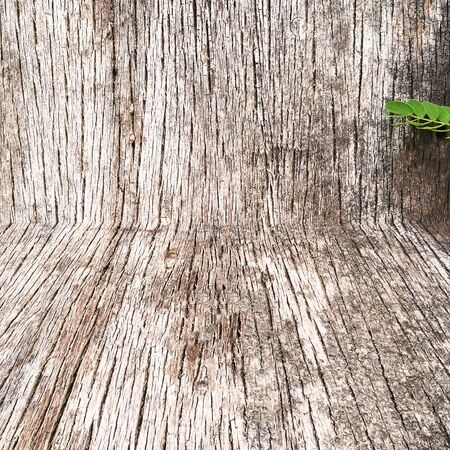 Old Wood table texture shabby background Patterned surfaceの写真素材