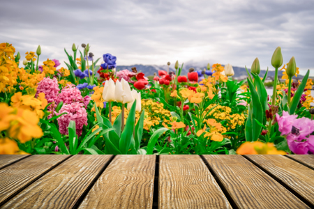 Empty Old Wooden table with Flowers garden background .の写真素材
