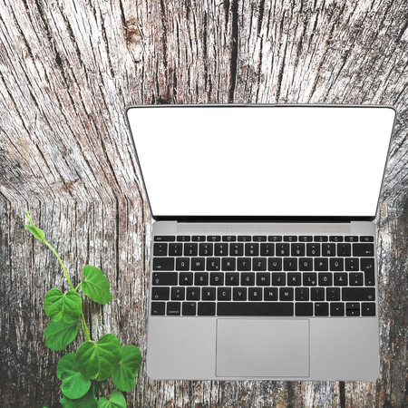 Laptop or Computer notebook with blank screen on table old wood With leaves.の写真素材