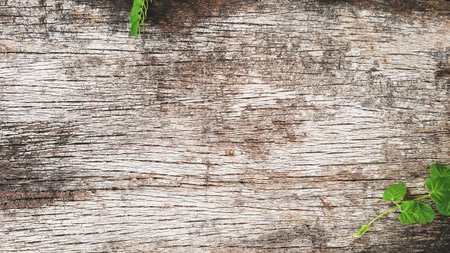 Old Wood table texture shabby background Patterned surface
