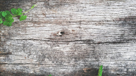 Old Wood table texture shabby background Patterned surfaceの写真素材